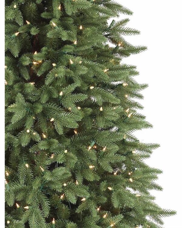 Stratford Spruce® Trees - Image 2