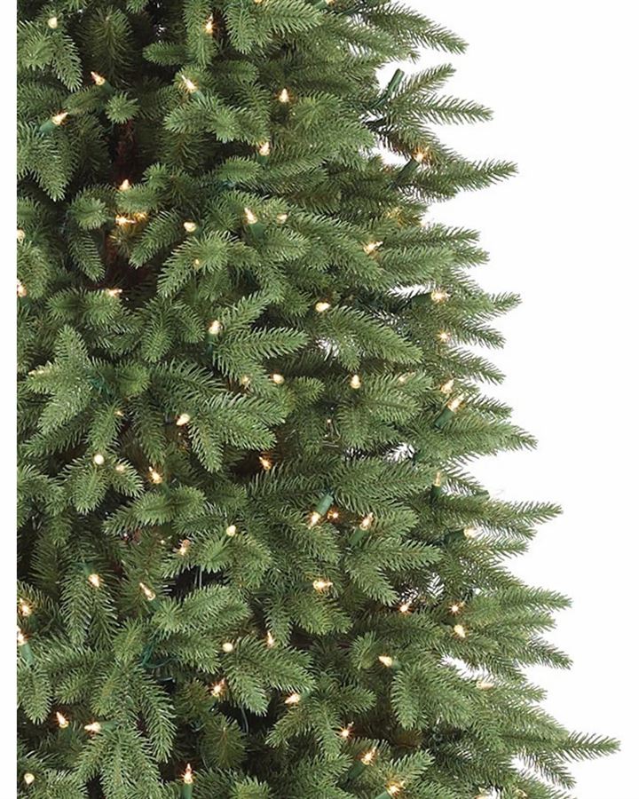 Stratford Spruce® Trees - Image 2