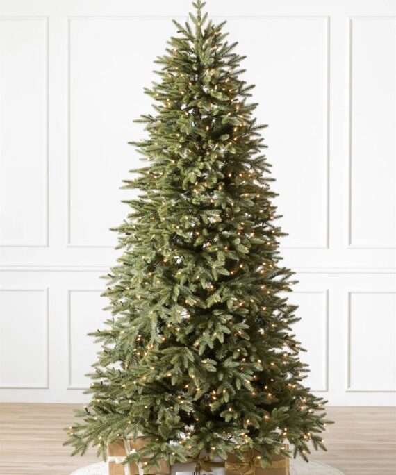 Stratford Spruce® Trees