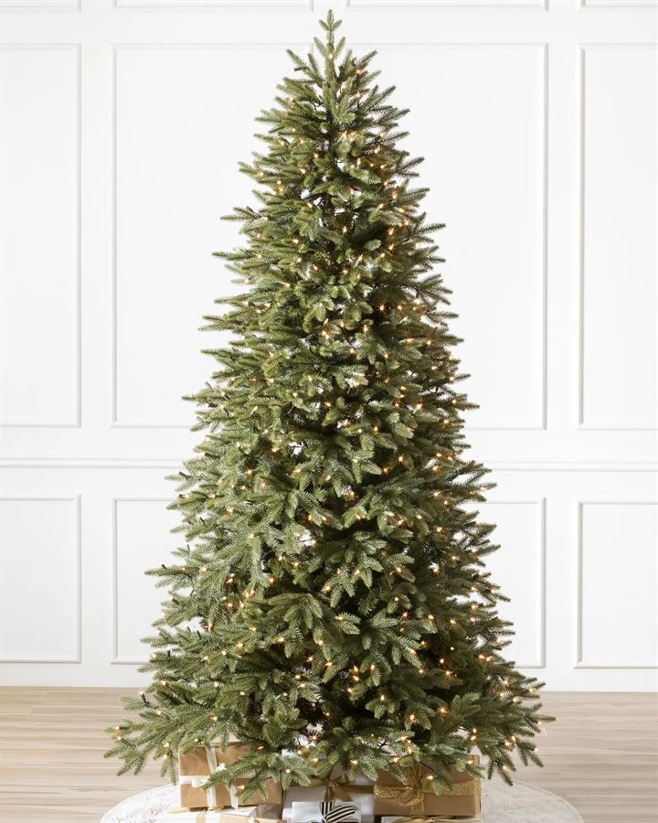 Stratford Spruce® Trees