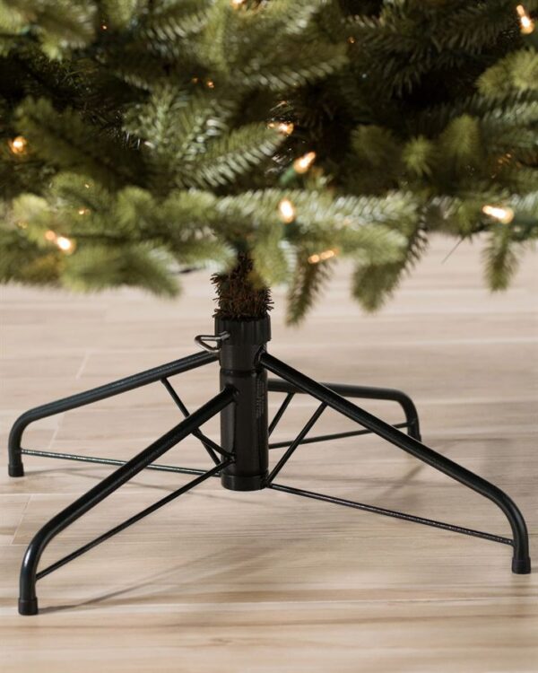 Stratford Spruce® Trees - Image 6