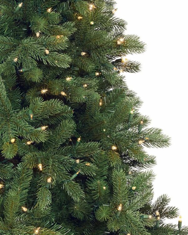 Woodland Spruce Trees - Image 2