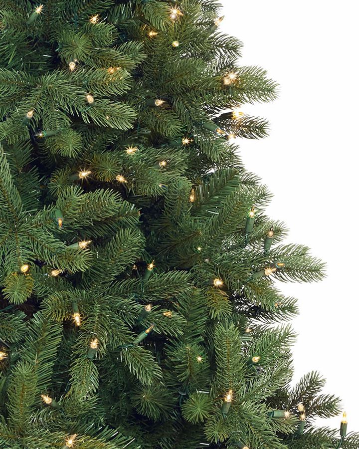 Woodland Spruce Trees - Image 2