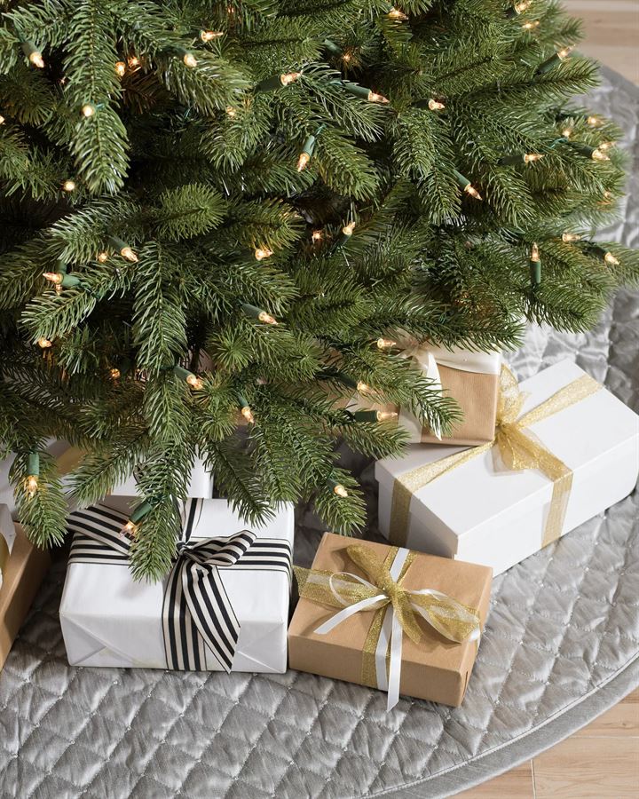 Woodland Spruce Trees - Image 6