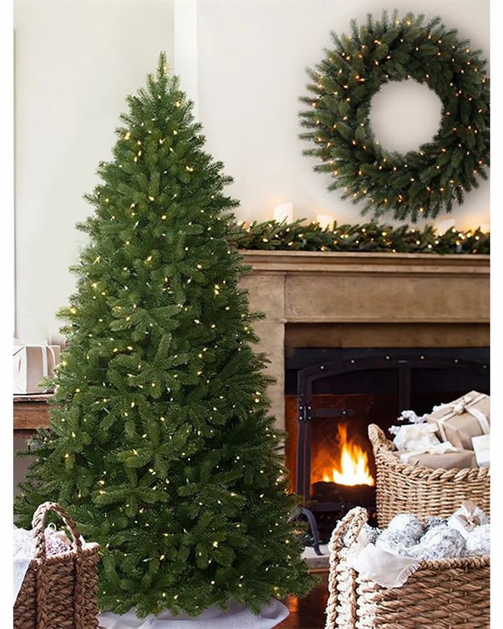 Woodland Spruce Trees - Image 7